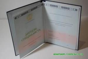 Купить диплом Сочинского филиала АГУ — Адыгейского государственного университета в Мурманске